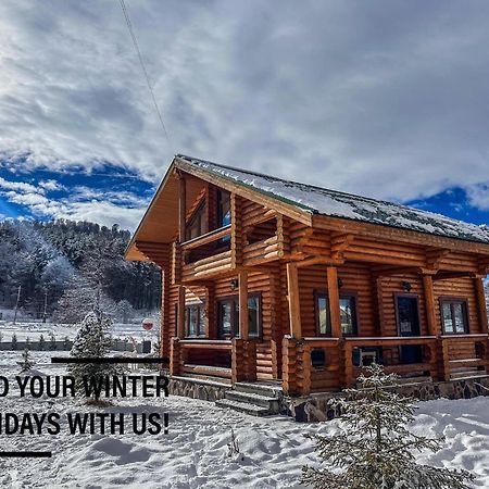 Log House Villa Бакуриани Екстериор снимка