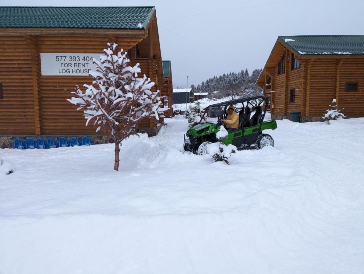 Log House Villa Бакуриани Екстериор снимка