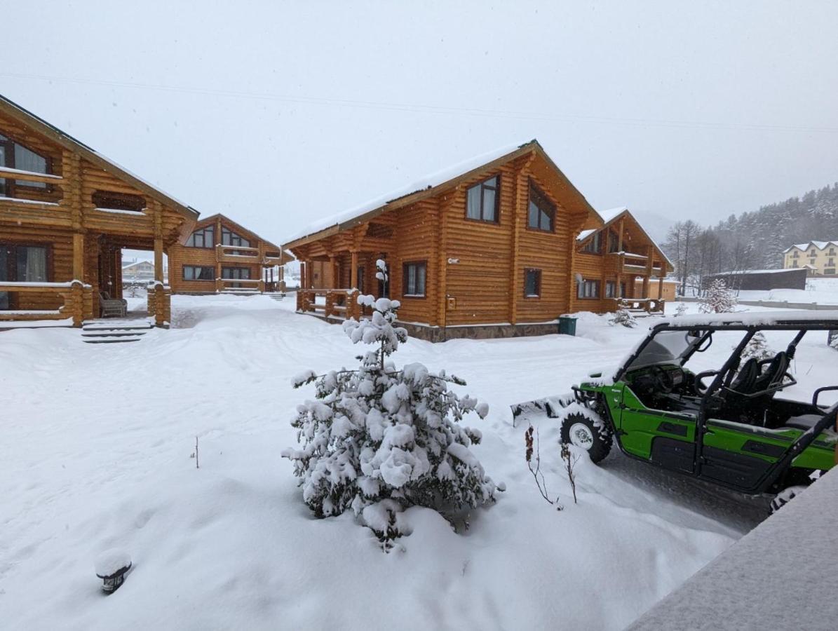 Log House Villa Бакуриани Екстериор снимка