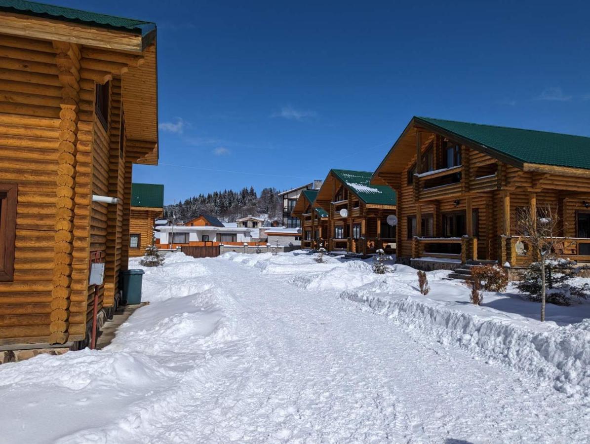 Log House Villa Бакуриани Екстериор снимка